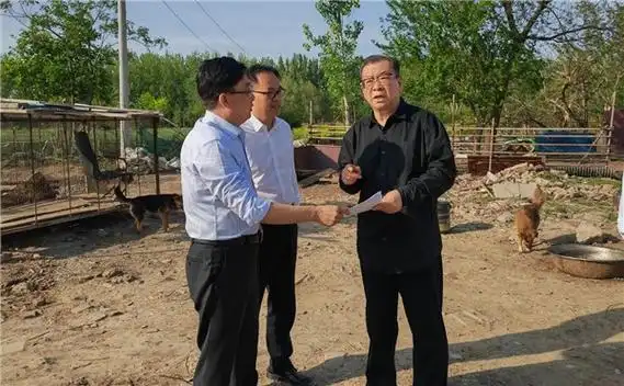 直"方式,先后来到涡阳县淮中大道拓宽工程现场,正虹饲料公司东无名沟