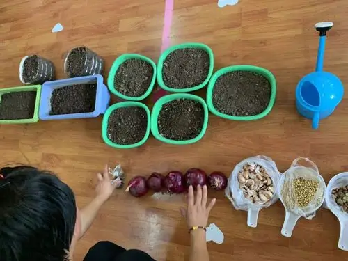 首先老师给小朋友们介绍蔬菜种子及种植方法.