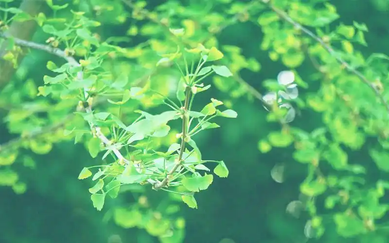 开朗大方,善良真诚,这5星座是真性情达人,让人觉得亲近无比_朋友_性格