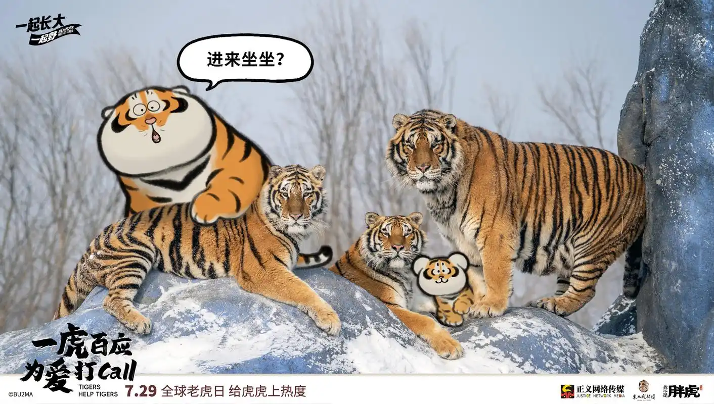 "我不是胖虎"联手检察官,一起为虎打call!