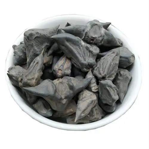 大货供应 四角菱 菱角 马甲子 雄虎刺 铁菱角白棘量大从优