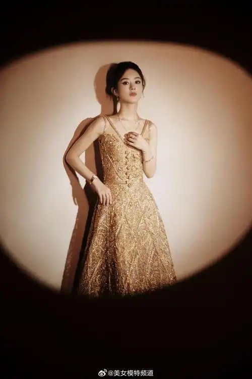 赵丽颖一身高定鎏金镂空礼服裙