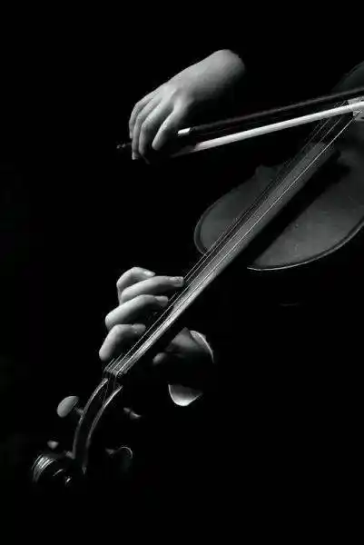 你的小提琴持琴姿势正确吗姿势错了可毁所有啊