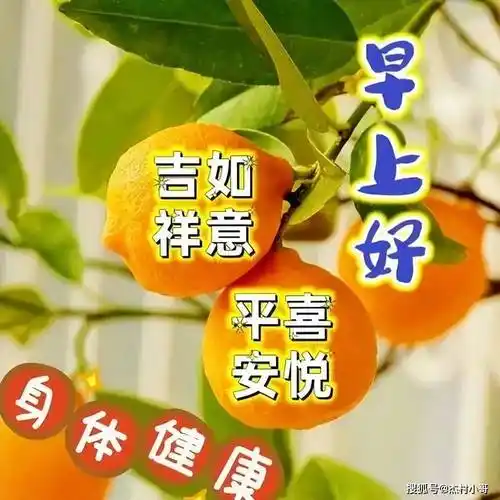 11月18日温馨漂亮的早安早上好祝福图片,祝你快乐身体健!