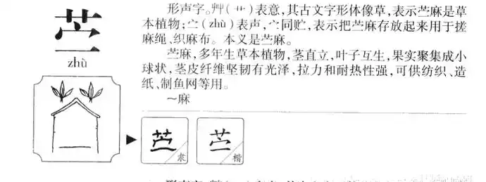 苎字的基本解释