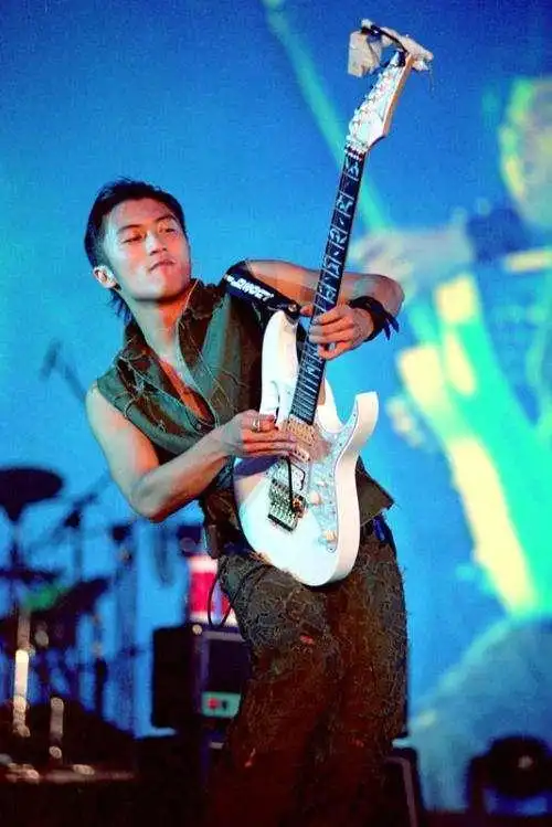 之后迅速走上巅峰,第20出头的年纪举办谢霆锋viva live世界巡回演唱会