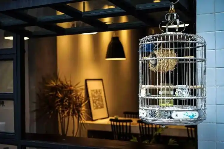 ins性冷淡风很艺术的沙拉加上经常出没的网红这个夏天就约在这啦