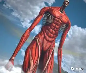 "或许,这就是进击的巨人吧!