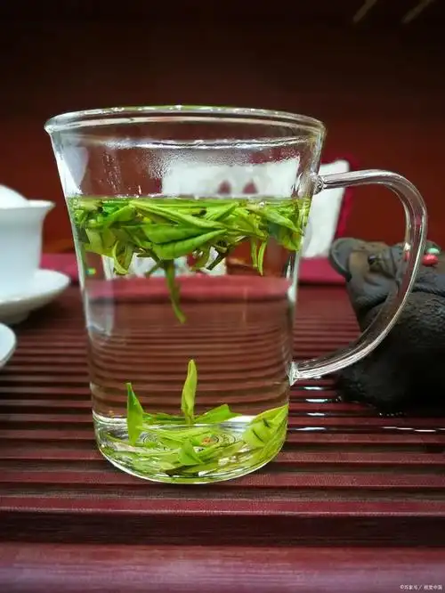 而如何泡好一杯绿茶,则成了一个值得探讨的话题,今天我来跟大家分享一