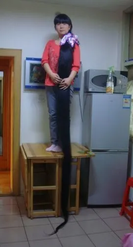 优惠价出售北方最年轻的,美丽的,超长发美女的长发,此超长发没有剪之