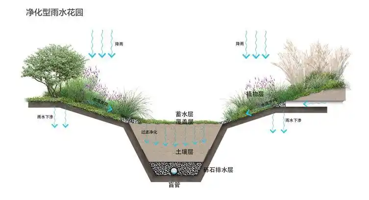 海绵设施-净化型雨水花园.jpg