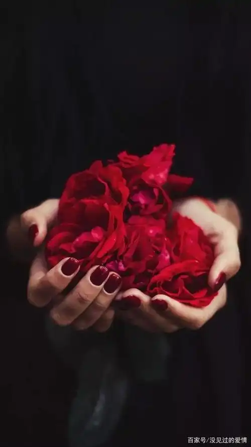 美丽的女人似带刺的玫瑰