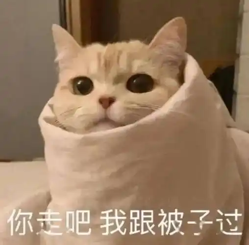 学习中,勿扰丨第922期喵表情包_侵权_网络_图片