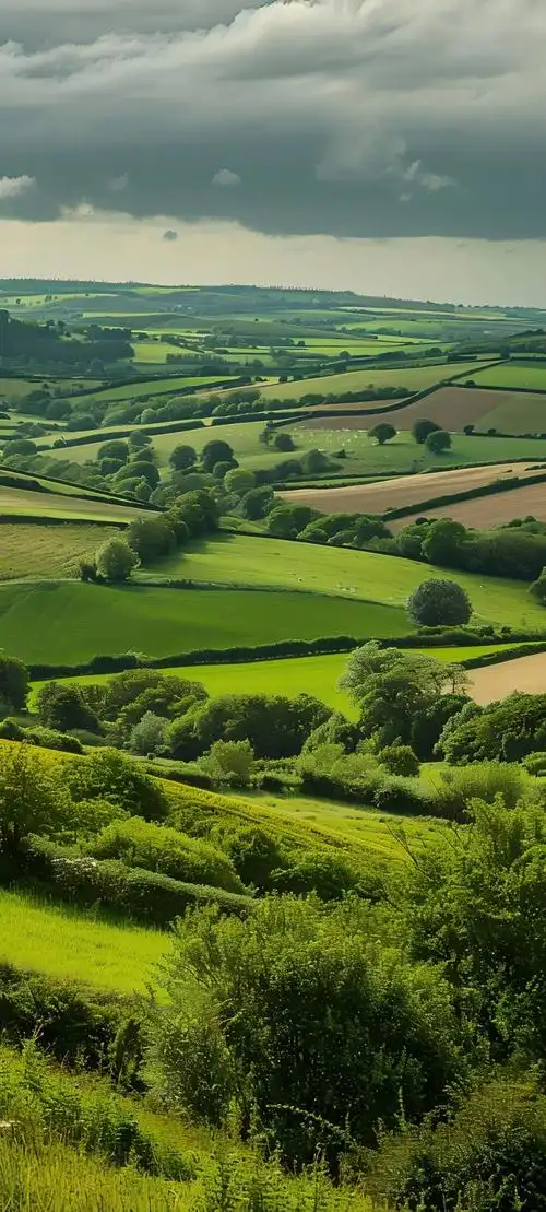 壁纸 草原 桌面 1080_2395 竖版 竖屏 手机