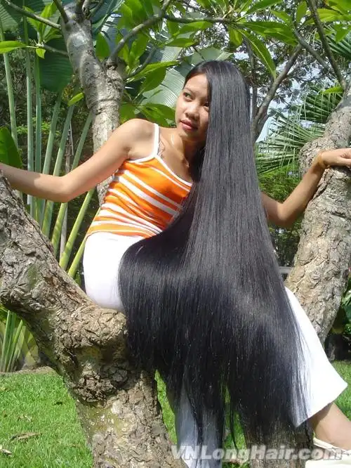 收藏的越南长发女图集与大家分享(43)