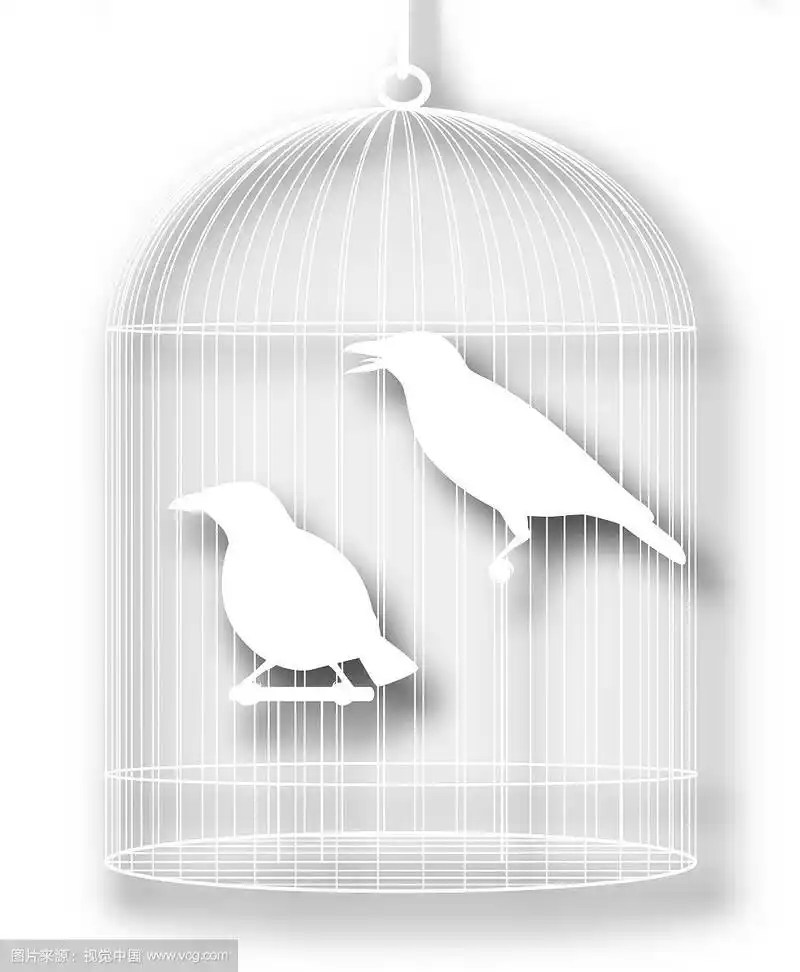 关在笼子里的鸟断路