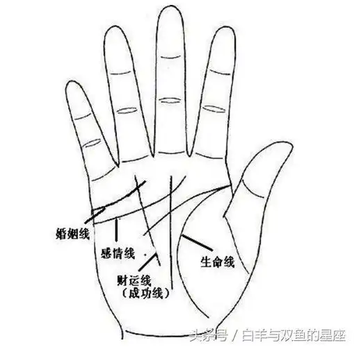 感情烦恼多,注定二婚命的手相
