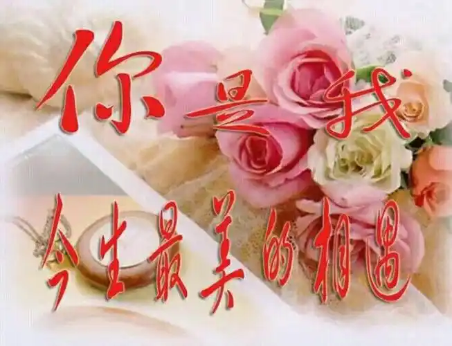 0658:君儿姑娘,我一生一世都爱你,君儿姑娘