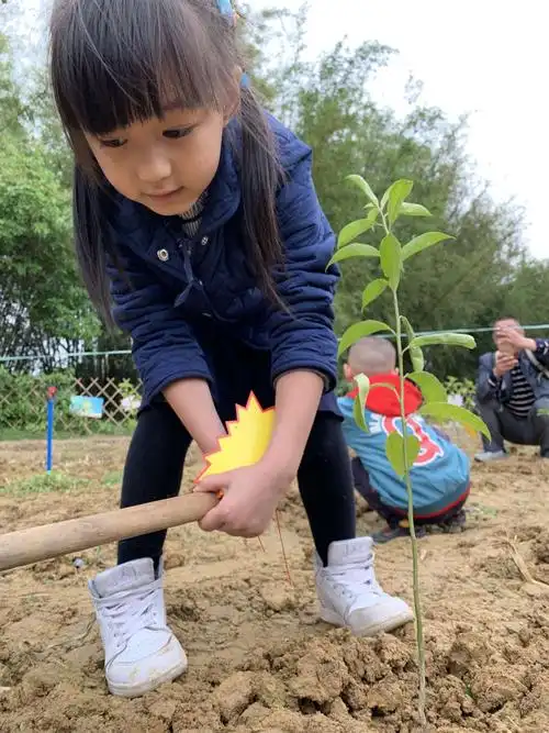 乡趣童年·回归自然—2019年从化稻草农业公园亲子种植之旅(广州市
