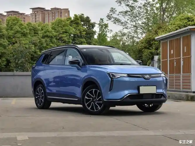 以上为车型资料信息,当地威马汽车经销商提供了很多附加增值性服务,感