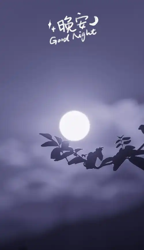 晚安迷人唯美的月亮1080x2280分辨率查看