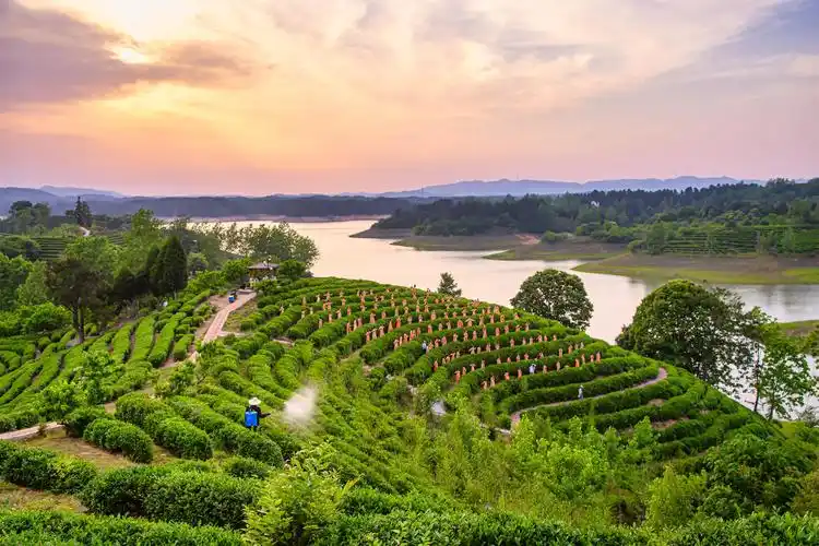 商城:全域绘新景 振兴谱新篇
