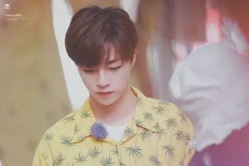 萌系壁纸-堆糖,美好生活研究所