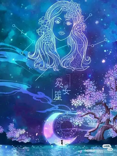 12星座星空壁纸2