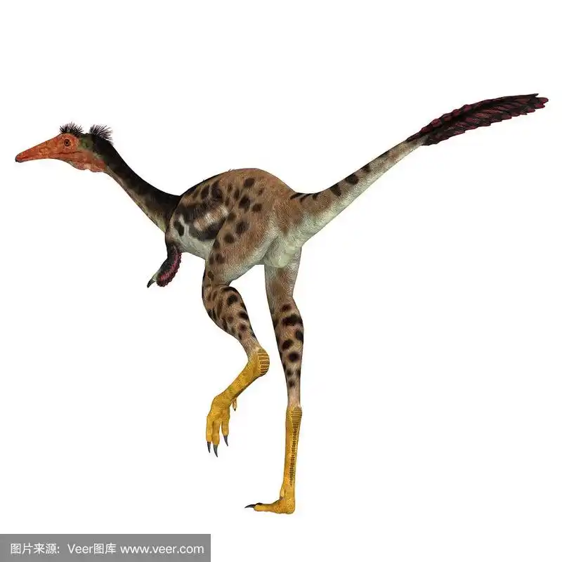 mononykus恐龙的尾巴