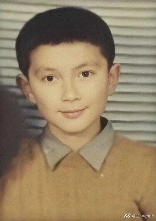 高伟光为人怎么样?