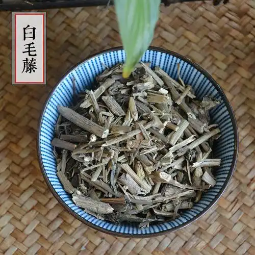 白毛藤 中药材批发 蜀羊泉 谷菜 天灯笼 排风 胡毛藤