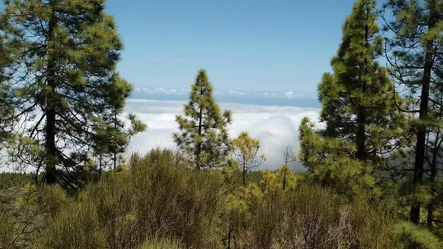 【唯美风景壁纸24】【1920x1080】[30p]