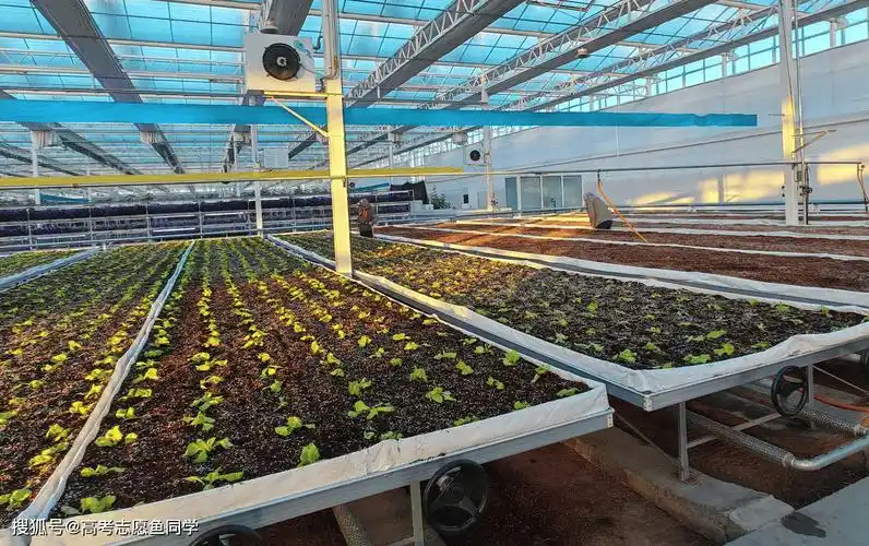 原创高考填报家境不好适合这7类专业就业竞争力强稳定性高