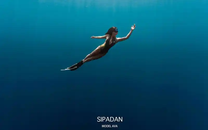 马来西亚仙本那自由潜水水下摄影