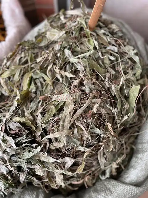 金鸡脚新货金星草鹅掌金星草鸭脚草七星草金鸡脚500克