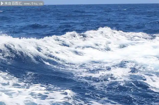 大海浪花图片