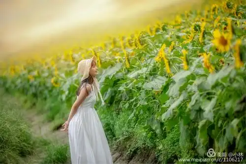 心向阳光,感恩微笑