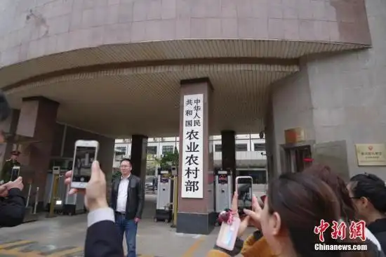 中新社北京1月18日电 (记者 陈溯)中国农业农村部新闻办公室18日发布