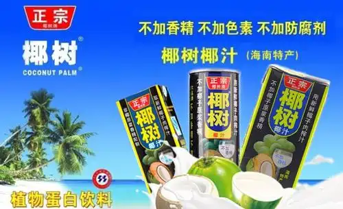 椰树牌椰汁工艺合理气味芳香口感清爽可口酸甜适中