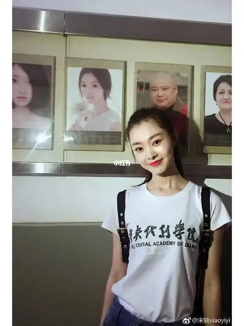 车车小可爱宋轶老婆