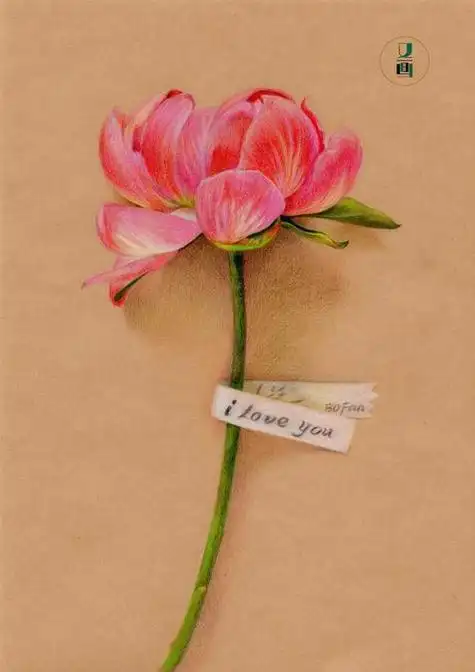 彩铅画花卉简笔画