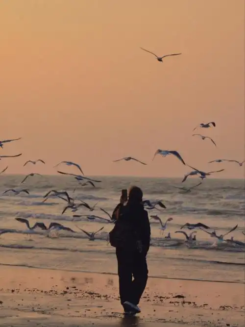 烟台,海边,日落