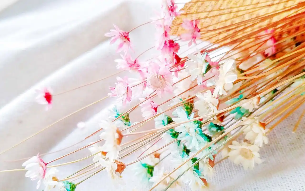 小清新静物高清图片桌面壁纸