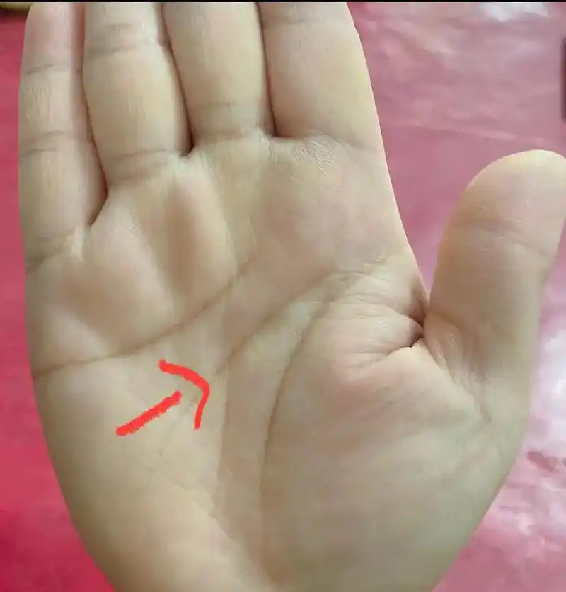 手形相的看法.女人手相有通天纹意味着有旺夫运,女性要是长有通 - 抖