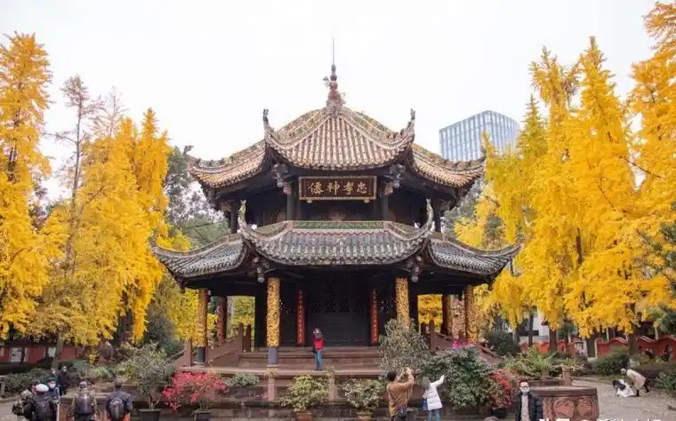 成都必去的地方排行最新 来成都一定要去的旅游景点