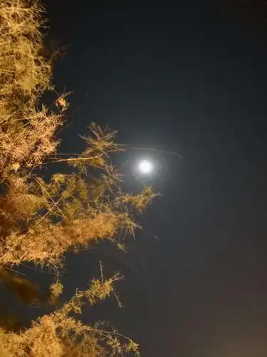 寂静的夜晚有你陪伴会更美