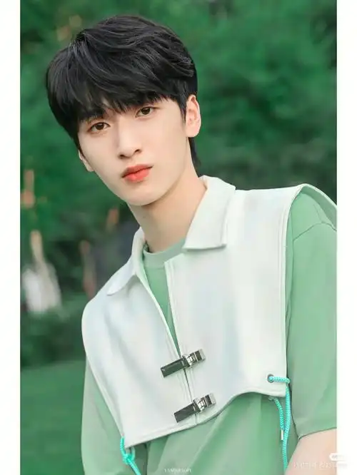 挑战100位明星图片第六章严浩翔