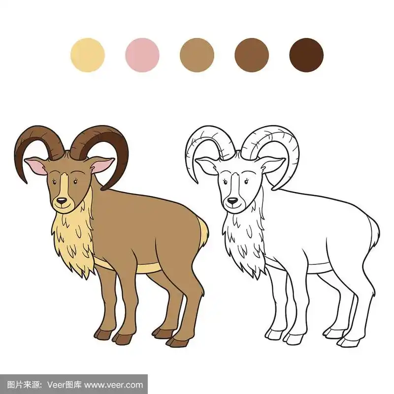 彩色书(东方盘羊)