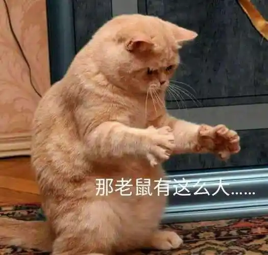 喵:错了,我是说悲伤那么大