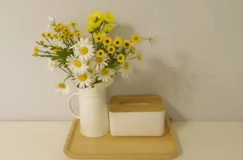 朋友圈背景图 鲜花 意境图片 ins风简约风格 - 堆糖,美图壁纸兴趣社区